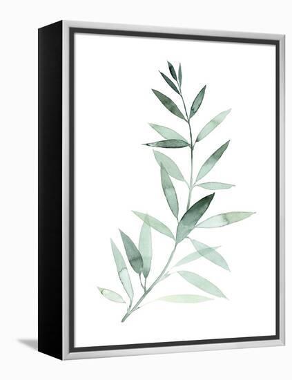 Sea Glass Sprig II-Grace Popp-Framed Stretched Canvas