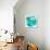 Sea Glass-Mike Schick-Framed Stretched Canvas displayed on a wall