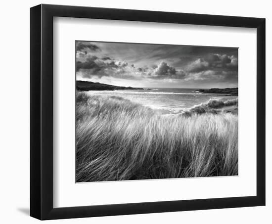 Sea Grass-Stephen Gassman-Framed Art Print