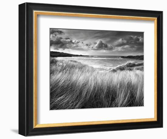 Sea Grass-Stephen Gassman-Framed Art Print