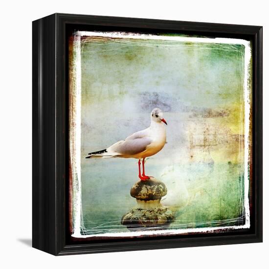 Sea Gull-Artistic Retro Styled Picture-Maugli-l-Framed Stretched Canvas