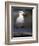 Sea Gull on Railing, La Conner, Washington, USA-Jamie & Judy Wild-Framed Photographic Print