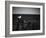 Sea Gull-John Gusky-Framed Photographic Print