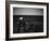 Sea Gull-John Gusky-Framed Photographic Print