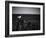 Sea Gull-John Gusky-Framed Photographic Print