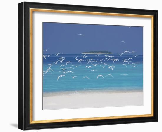 Sea Gulls and Resort, the Maldives, Indian Ocean-Sakis Papadopoulos-Framed Premium Photographic Print