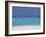 Sea Gulls and Resort, the Maldives, Indian Ocean-Sakis Papadopoulos-Framed Premium Photographic Print