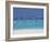 Sea Gulls and Resort, the Maldives, Indian Ocean-Sakis Papadopoulos-Framed Photographic Print