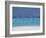 Sea Gulls and Resort, the Maldives, Indian Ocean-Sakis Papadopoulos-Framed Photographic Print
