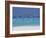 Sea Gulls and Resort, the Maldives, Indian Ocean-Sakis Papadopoulos-Framed Photographic Print