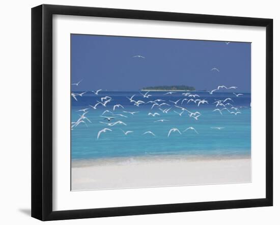 Sea Gulls and Resort, the Maldives, Indian Ocean-Sakis Papadopoulos-Framed Photographic Print