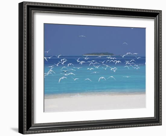 Sea Gulls and Resort, the Maldives, Indian Ocean-Sakis Papadopoulos-Framed Photographic Print