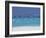 Sea Gulls and Resort, the Maldives, Indian Ocean-Sakis Papadopoulos-Framed Photographic Print