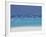 Sea Gulls and Resort, the Maldives, Indian Ocean-Sakis Papadopoulos-Framed Photographic Print