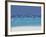 Sea Gulls and Resort, the Maldives, Indian Ocean-Sakis Papadopoulos-Framed Photographic Print