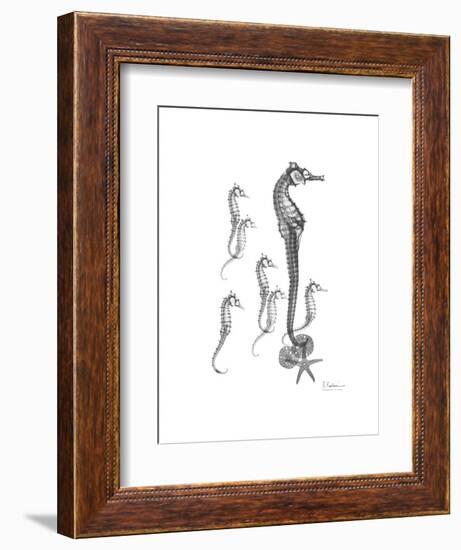 Sea Horse Collage-Albert Koetsier-Framed Premium Giclee Print