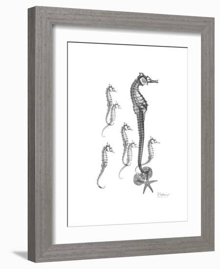 Sea Horse Collage-Albert Koetsier-Framed Premium Giclee Print