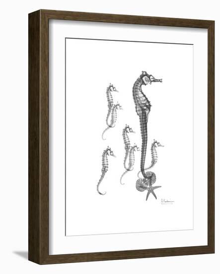 Sea Horse Collage-Albert Koetsier-Framed Premium Giclee Print