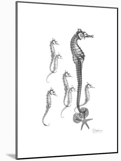 Sea Horse Collage-Albert Koetsier-Mounted Premium Giclee Print