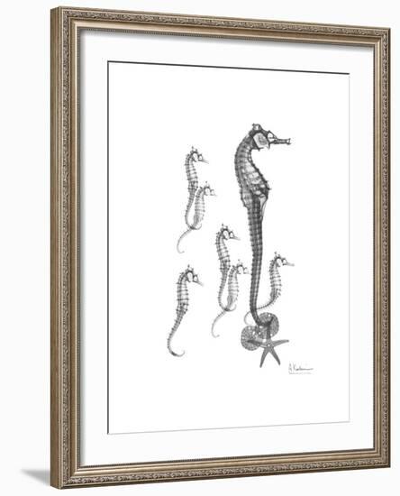 Sea Horse Collage-Albert Koetsier-Framed Premium Giclee Print