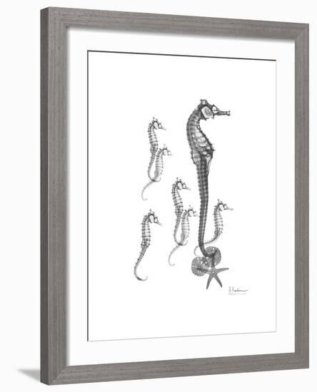 Sea Horse Collage-Albert Koetsier-Framed Premium Giclee Print