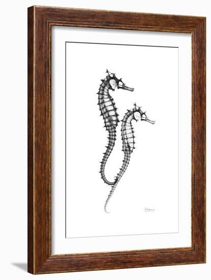 Sea Horse Gray-Albert Koetsier-Framed Premium Giclee Print