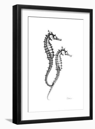 Sea Horse Gray-Albert Koetsier-Framed Premium Giclee Print