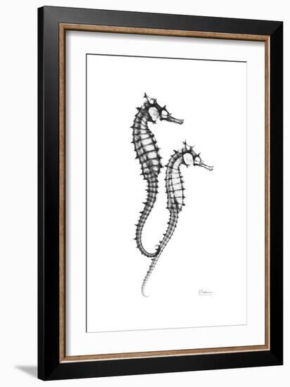 Sea Horse Gray-Albert Koetsier-Framed Premium Giclee Print