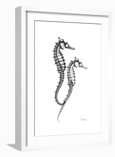 Sea Horse Gray-Albert Koetsier-Framed Premium Giclee Print