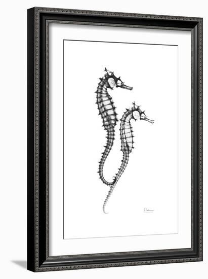 Sea Horse Gray-Albert Koetsier-Framed Premium Giclee Print