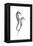 Sea Horse Gray-Albert Koetsier-Framed Stretched Canvas