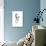 Sea Horse Gray-Albert Koetsier-Premium Giclee Print displayed on a wall