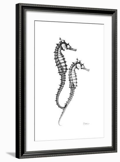 Sea Horse Gray-Albert Koetsier-Framed Premium Giclee Print