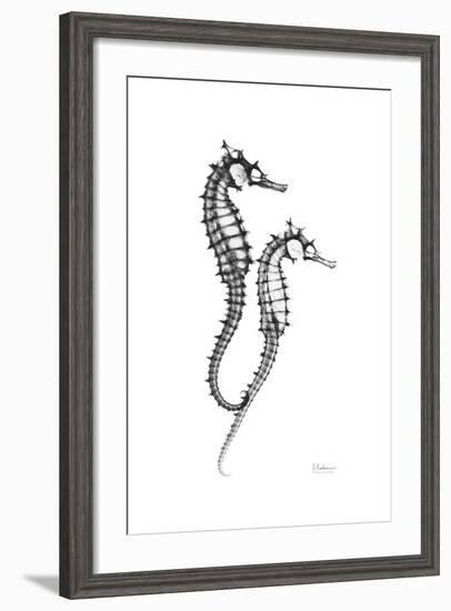 Sea Horse Gray-Albert Koetsier-Framed Premium Giclee Print