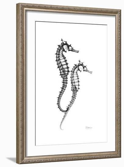 Sea Horse Gray-Albert Koetsier-Framed Premium Giclee Print