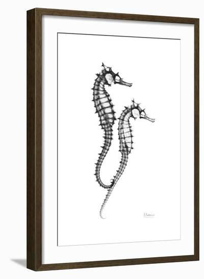 Sea Horse Gray-Albert Koetsier-Framed Premium Giclee Print