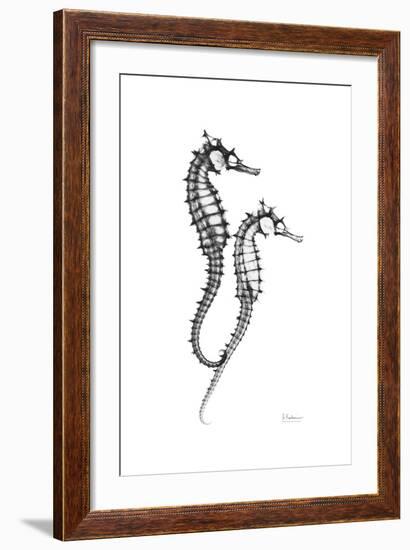 Sea Horse Gray-Albert Koetsier-Framed Premium Giclee Print