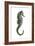 Sea Horse (Hippocampus Hudsonius), Fishes-Encyclopaedia Britannica-Framed Art Print