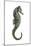 Sea Horse (Hippocampus Hudsonius), Fishes-Encyclopaedia Britannica-Mounted Art Print