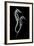 Sea Horse Xray-Albert Koetsier-Framed Premium Giclee Print