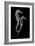 Sea Horse Xray-Albert Koetsier-Framed Art Print