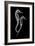 Sea Horse Xray-Albert Koetsier-Framed Art Print