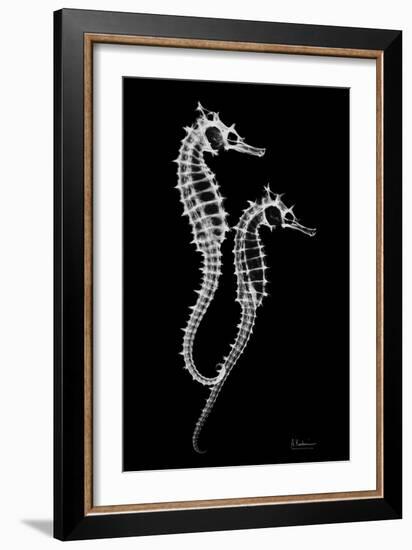 Sea Horse Xray-Albert Koetsier-Framed Art Print