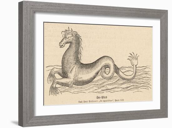 Sea Horse-null-Framed Art Print