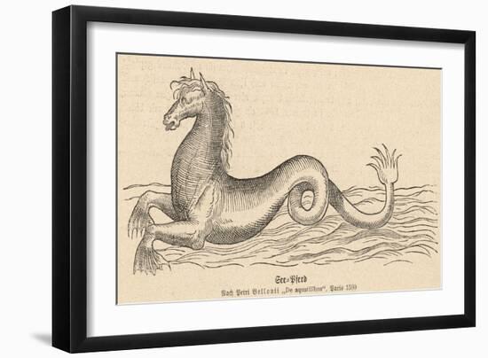 Sea Horse-null-Framed Art Print