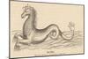 Sea Horse-null-Mounted Art Print
