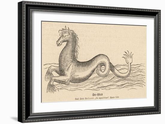 Sea Horse-null-Framed Art Print