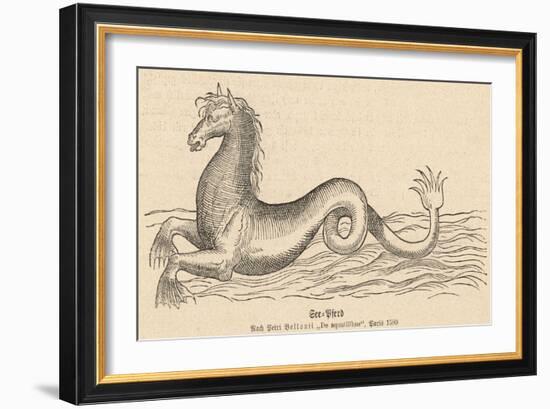 Sea Horse-null-Framed Art Print