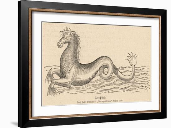 Sea Horse-null-Framed Premium Giclee Print