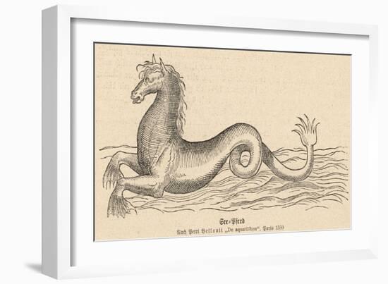 Sea Horse-null-Framed Premium Giclee Print